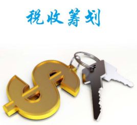 企税筹划与个税筹划 价格因素与健康咨询服务的重要性