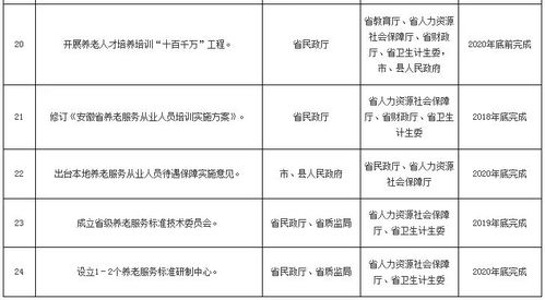 关于印发《安徽省构建多层次养老服务体系（2018-2020年）行动计划》的通知——咨询策划服务方案