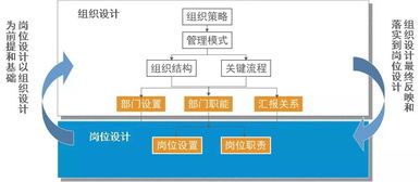 管理升级落地咨询服务 组织设计与权责体系优化实操指南